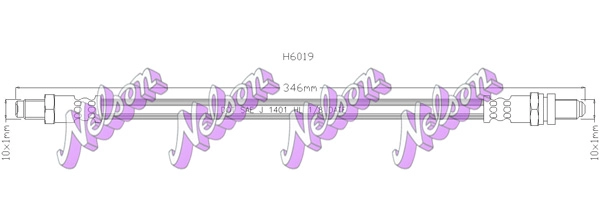 H6019