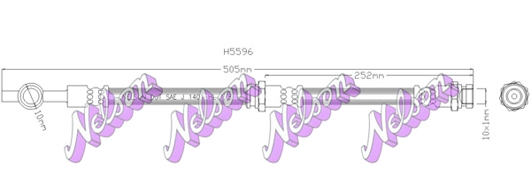 H5596
