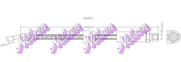 H6066