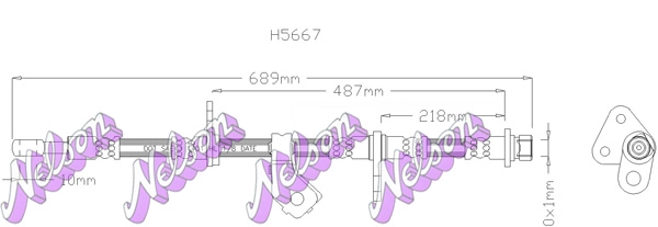 H5667