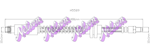 H5589