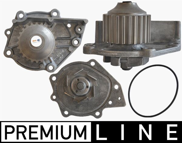 CP 63 000P