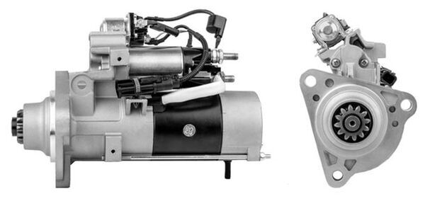 MS 929