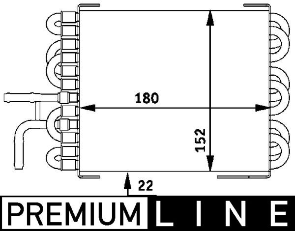 CK7