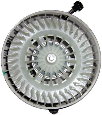 AB 56 000P