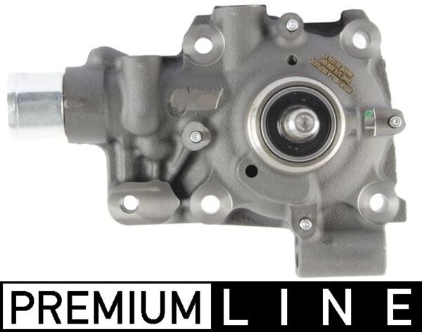CP 445 000P