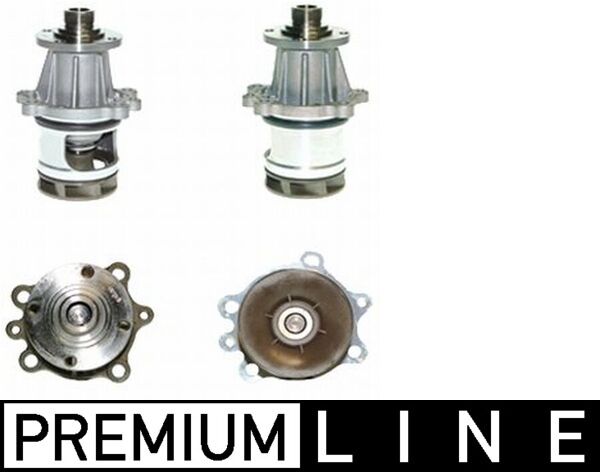 CP 86 000P