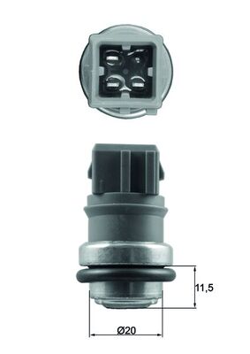 TSE 31