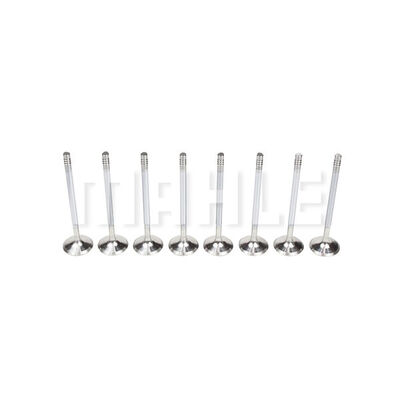 VE0140248