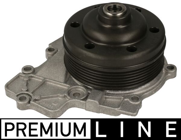 CP 606 000P