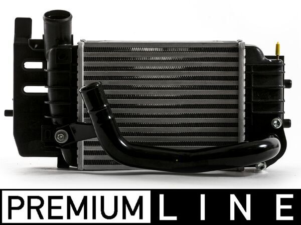 CI 441 000P