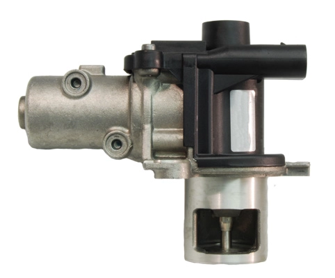 EGR021