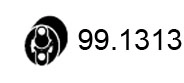 99.1313