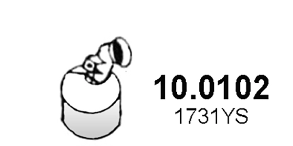 1731YN