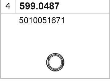 599.0487