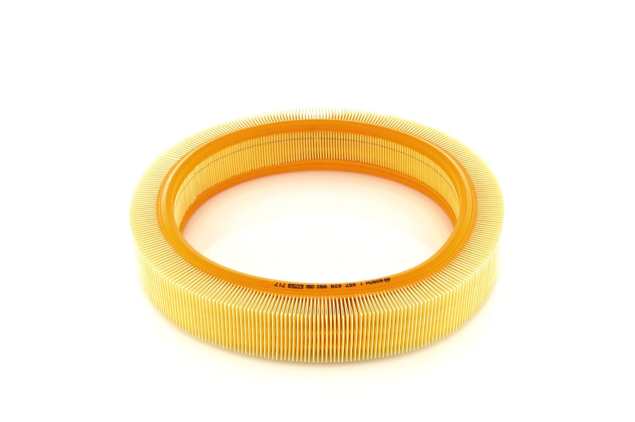 25062204