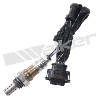 250-24854