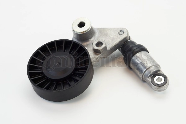V85558