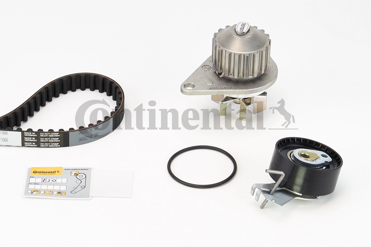CT1066WP1