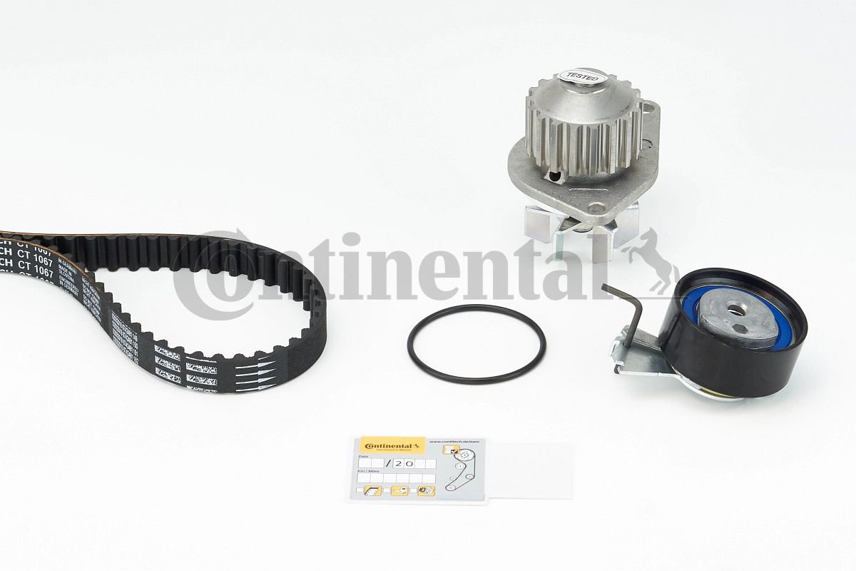 CT1067WP1