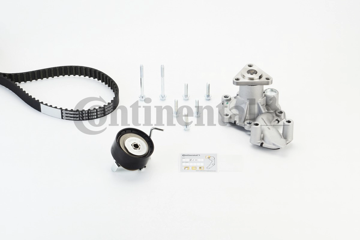 CT1189WP1