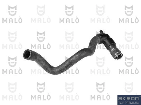 300281A