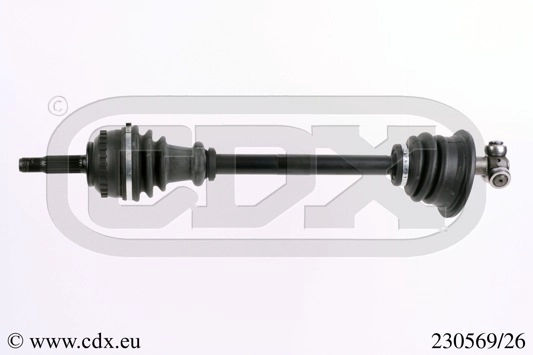 230569/26