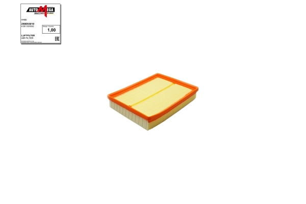 250053010