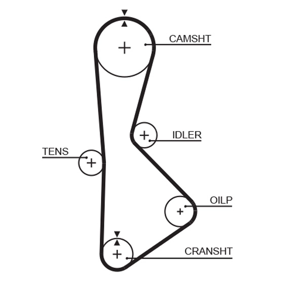 T233