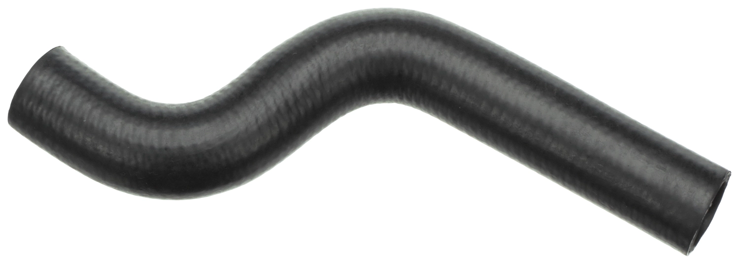 3264