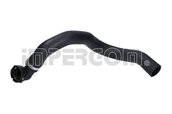 18556