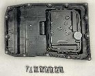 50205482