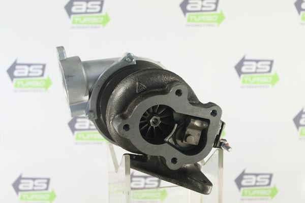 AS2081
