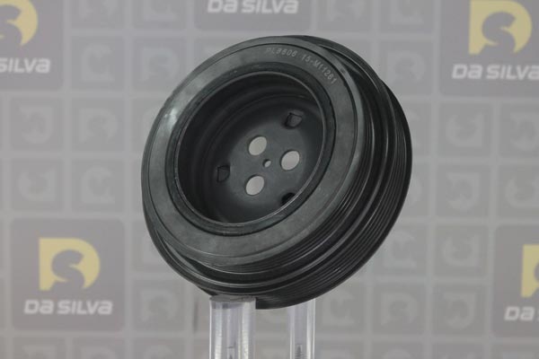 PL8606