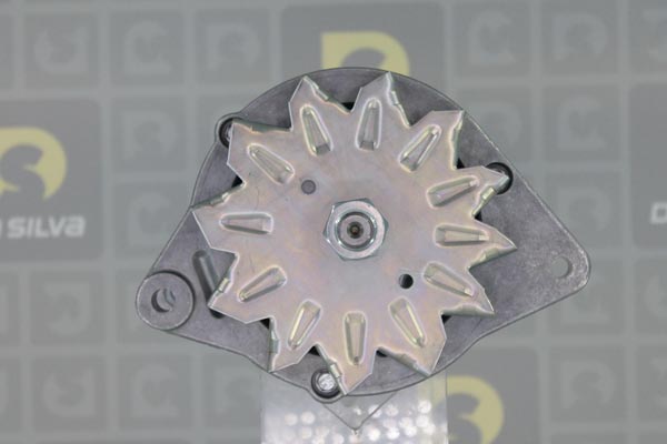 53350906