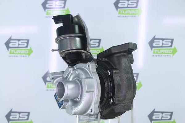 AS1119