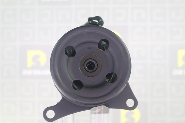 DP3597