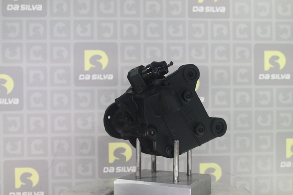 DP3667