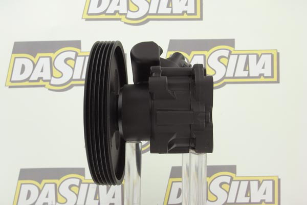 DP2910