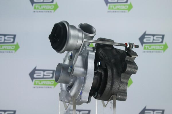 AS1011