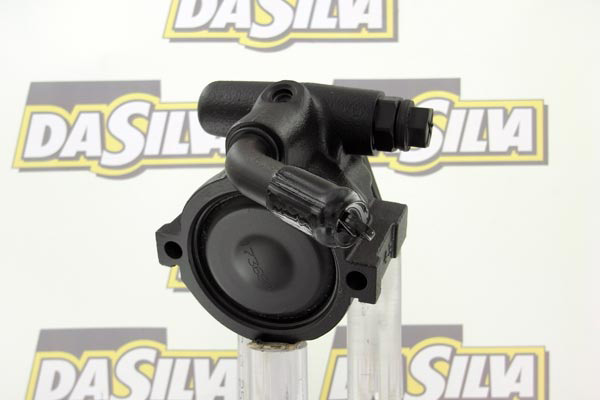 DP2955