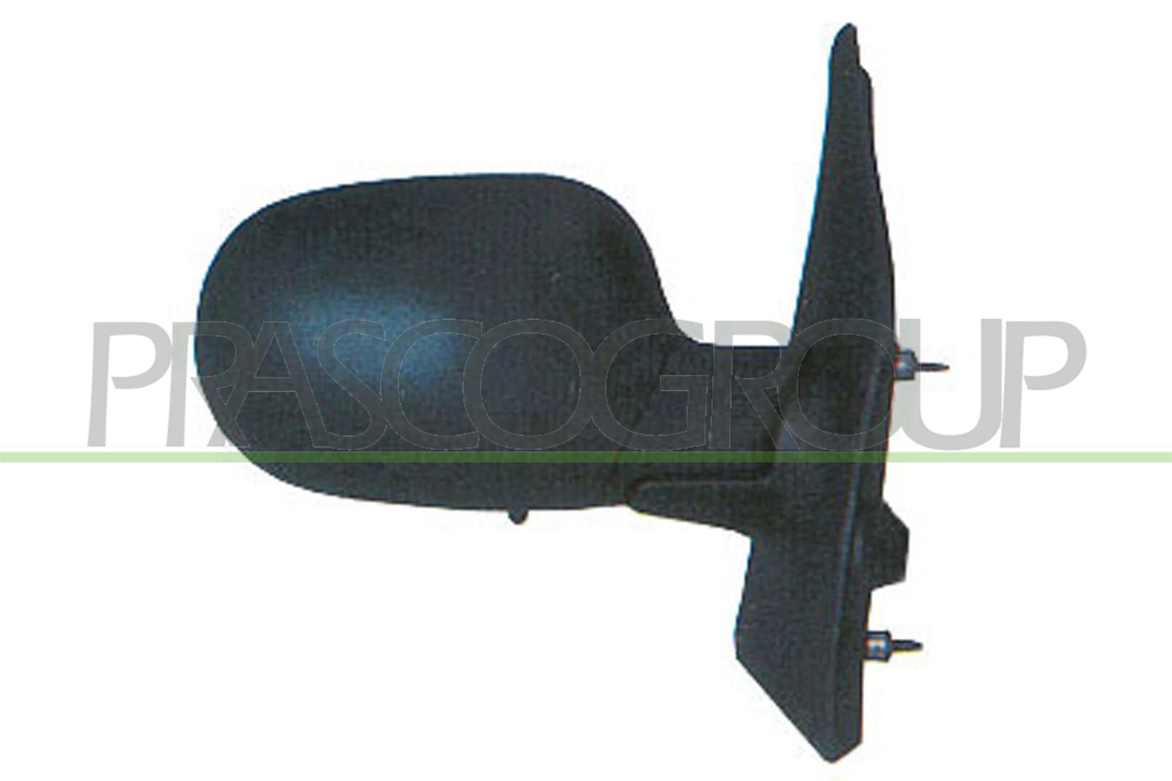 RN0307313