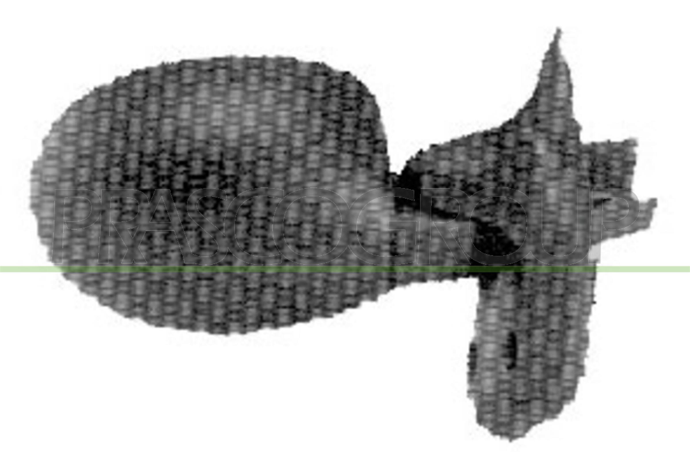 RN0257103