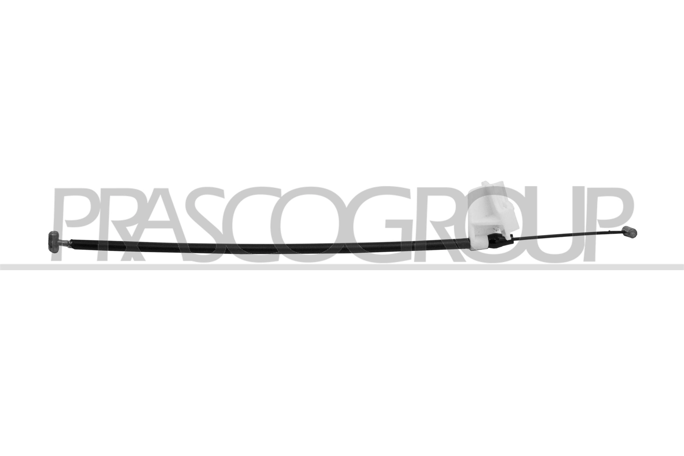Q0001973V005000000