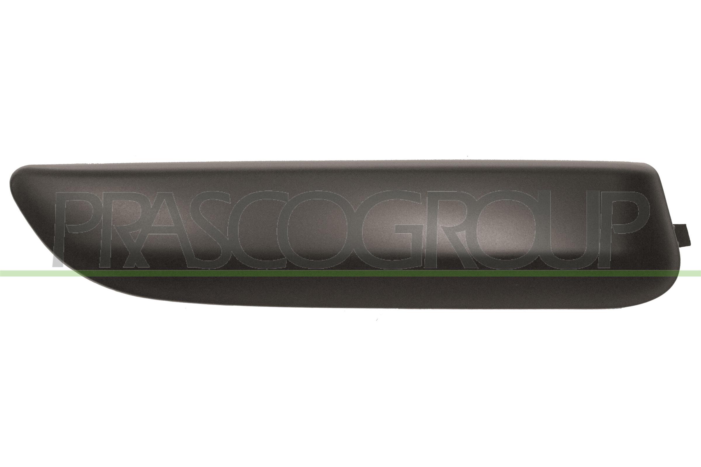 PG4241233