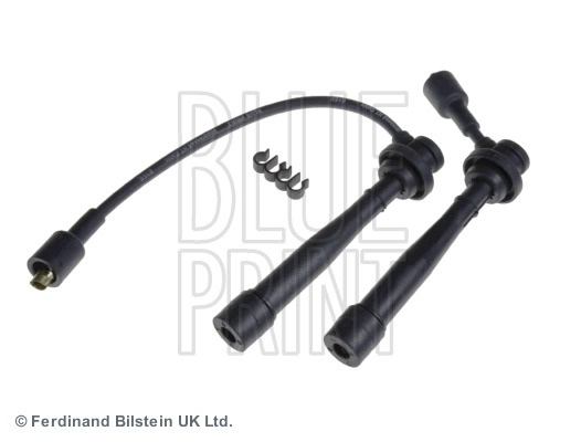 ADK81615