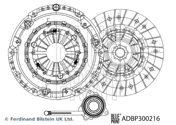 ADBP300216