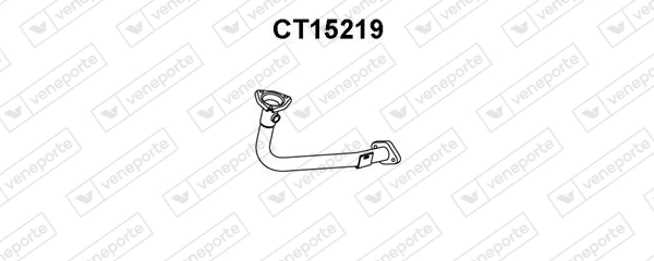 CT15219