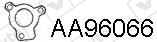 AA96066