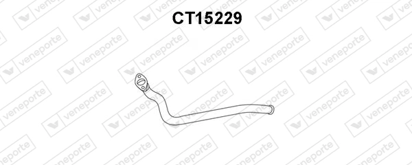 CT15229